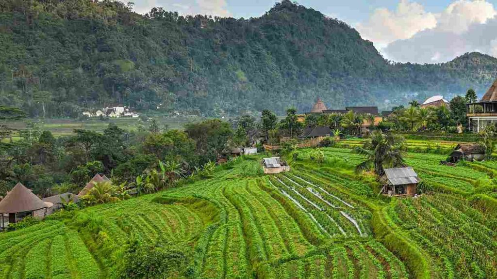 Lembah hijau dan sawah bertingkat Sidemen Valley di Karangasem