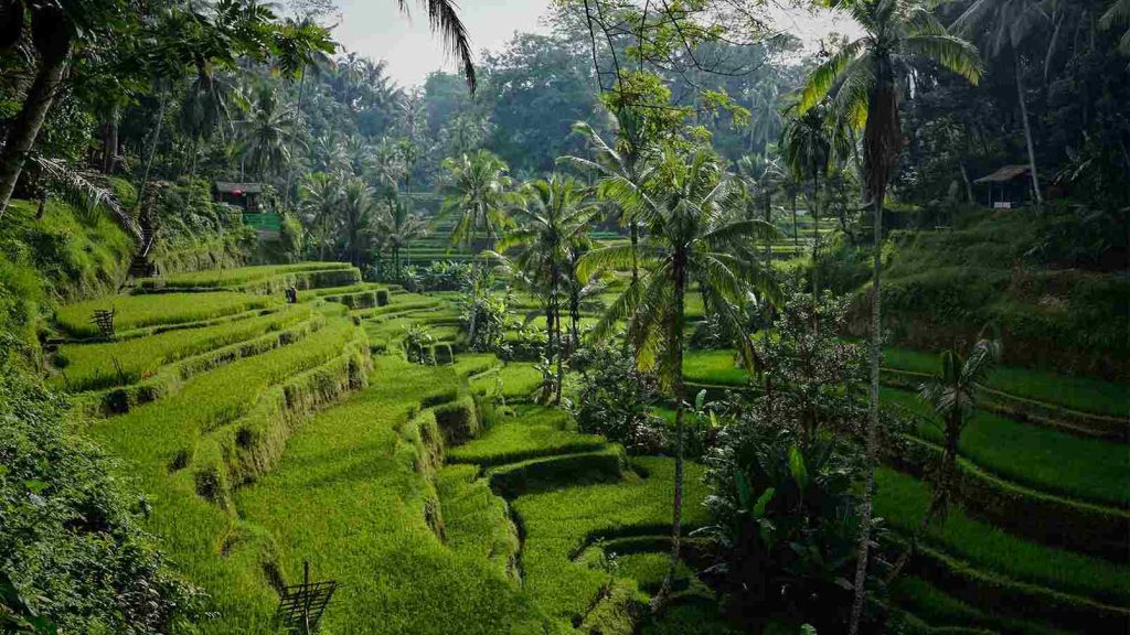 tips liburan ke Bali agar hemat, nyaman, dan tidak ribet tahun 2026