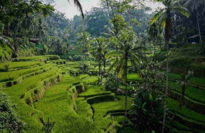 tips liburan ke Bali agar hemat, nyaman, dan tidak ribet tahun 2026