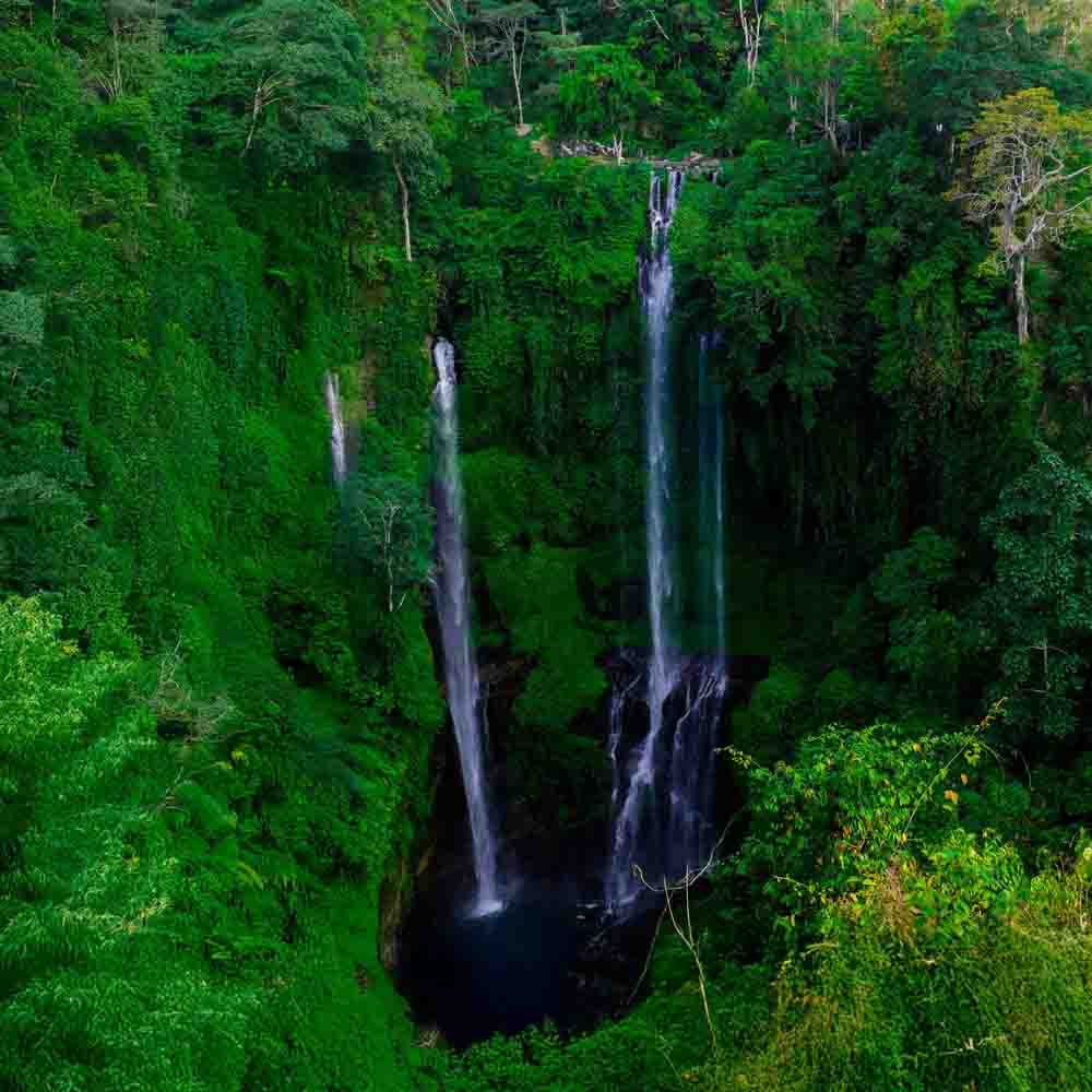 aktivitas seru di bali trekking ke Air Terjun Sekumpul Buleleng