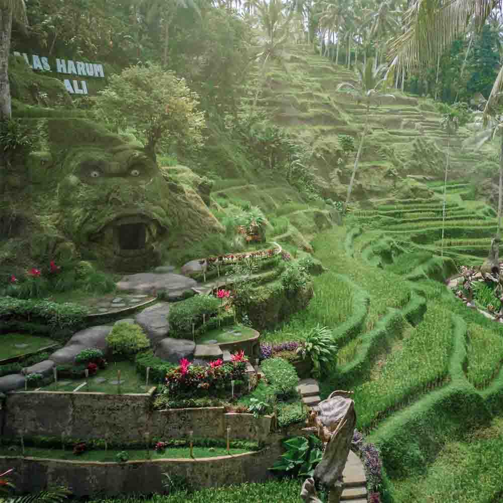 destinasi wisata bali 2026 Alas Harum Ubud dengan swing dan sawah terasering