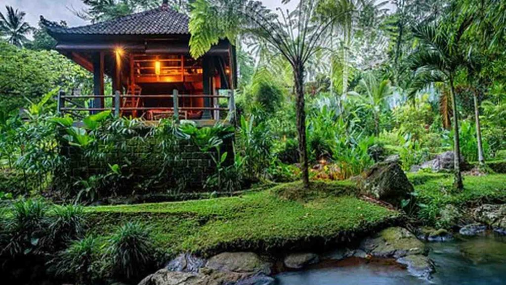 Aktivitas digital detox retreat di Bali dengan konsep mindful living