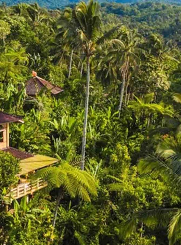 Suasana retreat spiritual di tengah alam Bali yang tenang dan asri