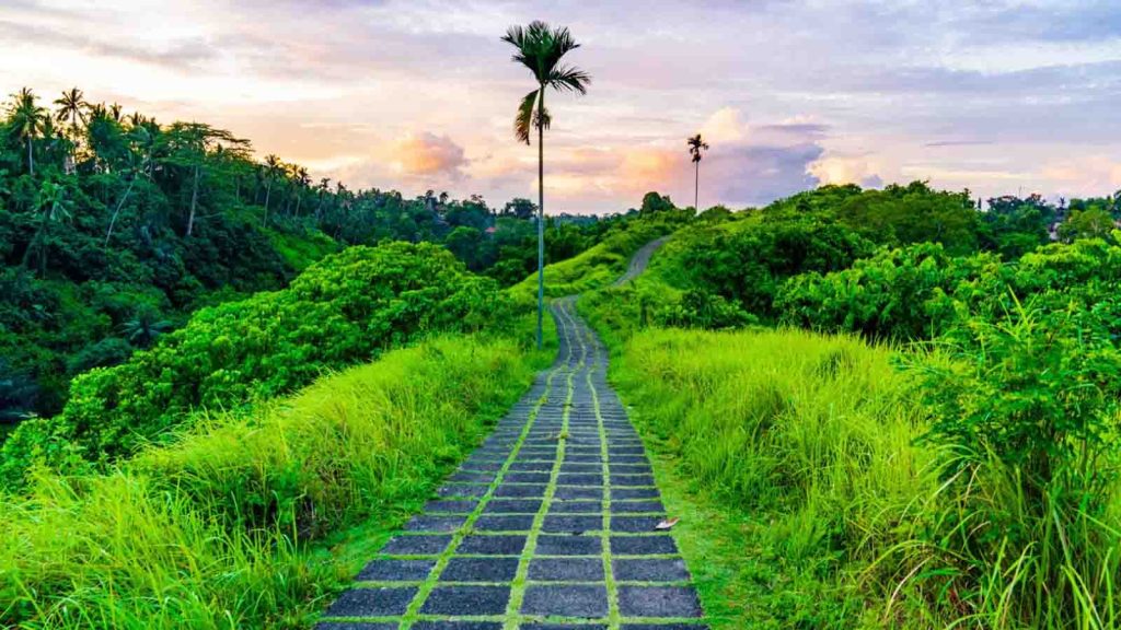jalur trekking Campuhan Ridge Walk Ubud dengan pemandangan perbukitan hijau