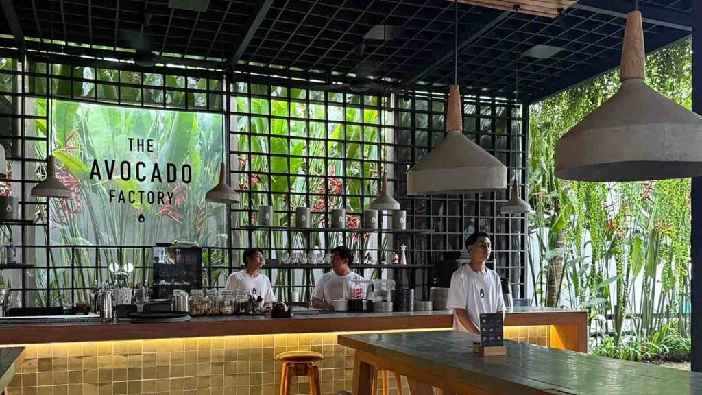 The Avocado Factory Canggu dengan menu avocado toast dan interior tropis