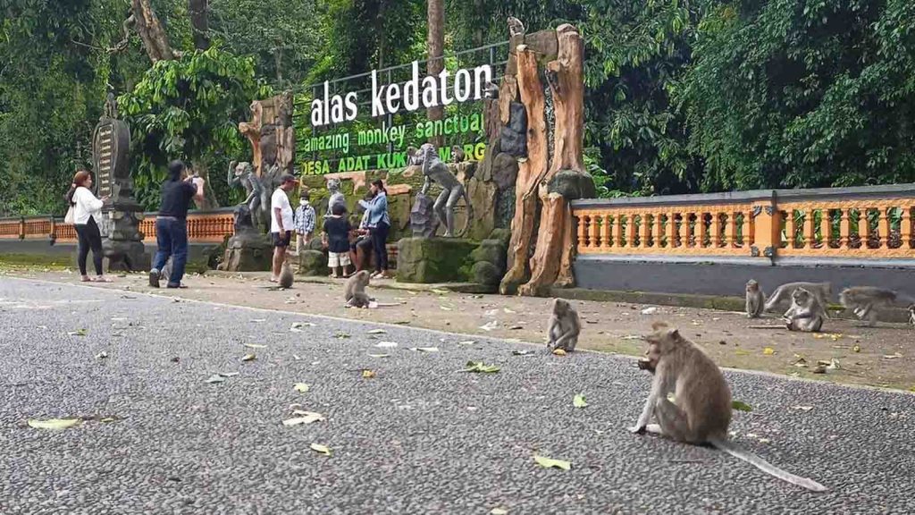 alas-kedaton