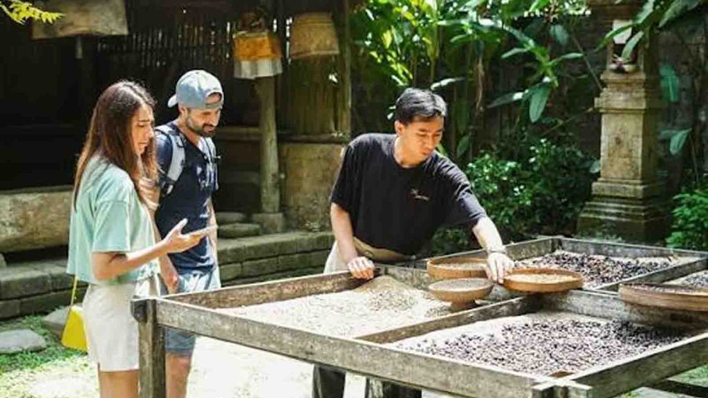 bali-pulina