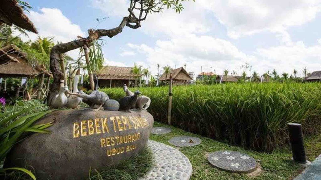 bebek-tepi-sawah